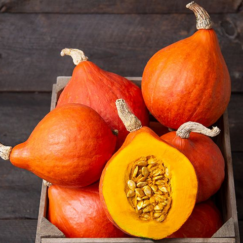 October In Season: Red Kuri Squash