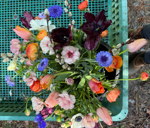 Mother's Day Gifts