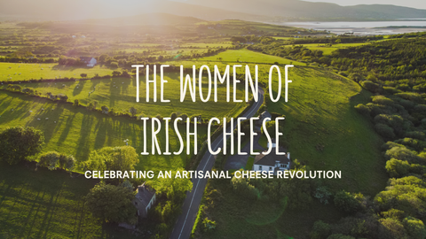 A scenic landscape with showcasing Irish cheese and pasture, set against a backdrop of green fields and a road.