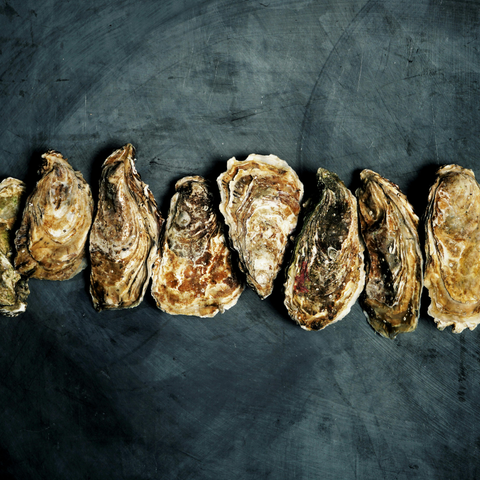 Fresh Wellfleet Oysters (2 Dozen)
